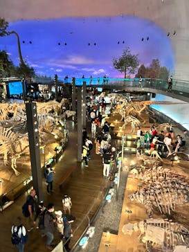 福井県立恐竜博物館に投稿された画像（2024/5/6）