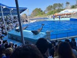 越前松島水族館に投稿された画像（2024/5/7）