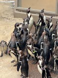 アクアワールド茨城県大洗水族館に投稿された画像（2024/5/7）