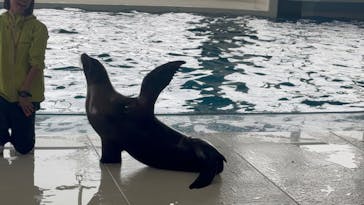 アクアワールド茨城県大洗水族館に投稿された画像（2024/5/6）