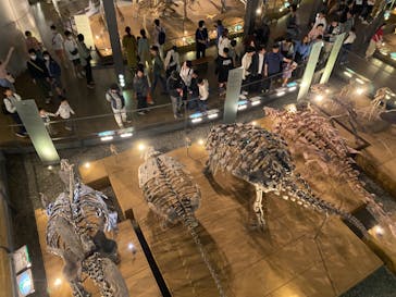 福井県立恐竜博物館に投稿された画像（2024/5/6）