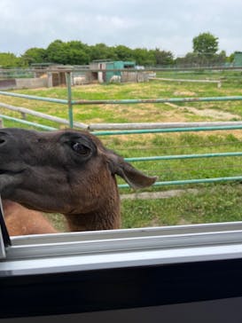 岩手サファリパークに投稿された画像（2024/5/6）