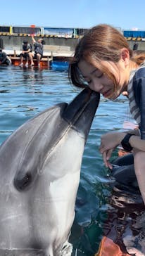 ドルフィンファンタジーに投稿された画像（2024/5/6）