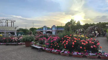 ひらかたパークに投稿された画像（2024/5/6）