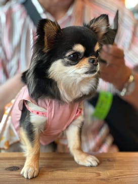 わんダフルネイチャーヴィレッジに投稿された画像（2024/5/6）