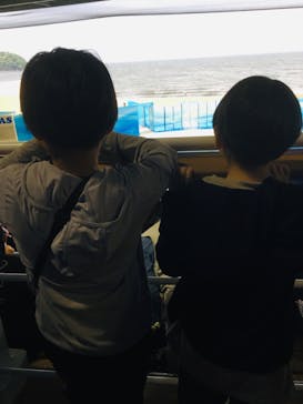 新江ノ島水族館に投稿された画像（2024/5/7）