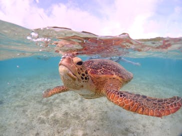 初心者専門宮古島シュノーケリングツアーに投稿された画像（2024/5/7）