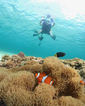 初心者専門宮古島シュノーケリングツアーに投稿された画像（2024/5/7）