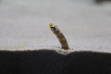 アクアワールド茨城県大洗水族館に投稿された画像（2024/5/7）