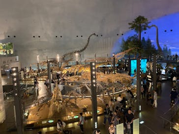 福井県立恐竜博物館に投稿された画像（2024/5/7）