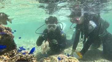 武藤潜水に投稿された画像（2024/5/7）