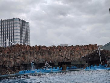 名古屋港水族館に投稿された画像（2024/5/7）