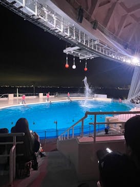 マリンワールド海の中道に投稿された画像（2024/5/7）