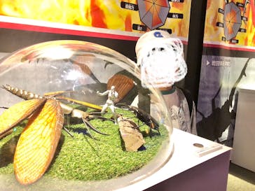 夢みなとタワーに投稿された画像（2024/5/7）