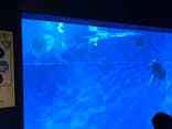 アクアワールド茨城県大洗水族館に投稿された画像（2024/5/7）