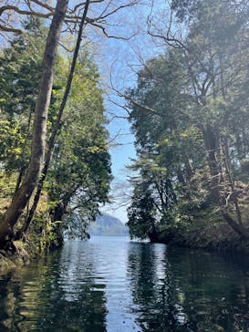 グリランド株式会社に投稿された画像（2024/5/7）