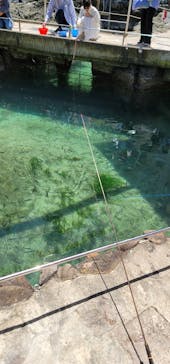 城崎マリンワールドに投稿された画像（2024/5/7）