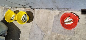 城崎マリンワールドに投稿された画像（2024/5/7）