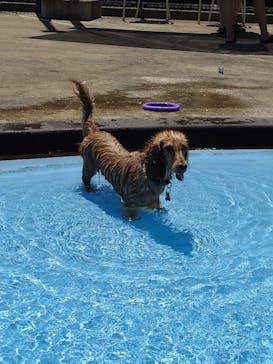 わんダフルネイチャーヴィレッジに投稿された画像（2024/5/7）