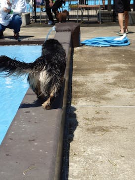 わんダフルネイチャーヴィレッジに投稿された画像（2024/5/7）