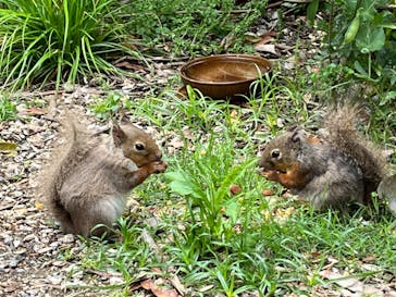 神戸どうぶつ王国に投稿された画像（2024/5/7）