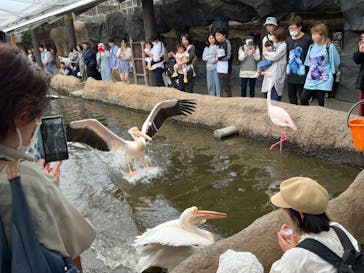 神戸どうぶつ王国に投稿された画像（2024/5/7）