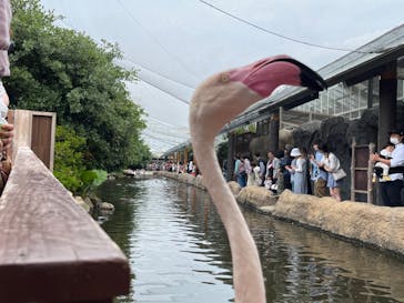 神戸どうぶつ王国に投稿された画像（2024/5/7）