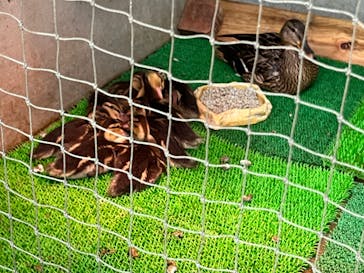 神戸どうぶつ王国に投稿された画像（2024/5/7）