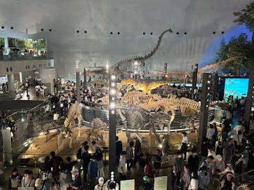福井県立恐竜博物館に投稿された画像（2024/5/7）