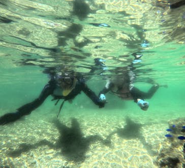 武藤潜水に投稿された画像（2024/5/7）