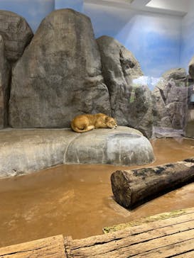 よこはま動物園ズーラシアに投稿された画像（2024/5/7）