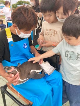 南知多ビーチランド＆南知多おもちゃ王国に投稿された画像（2024/5/7）