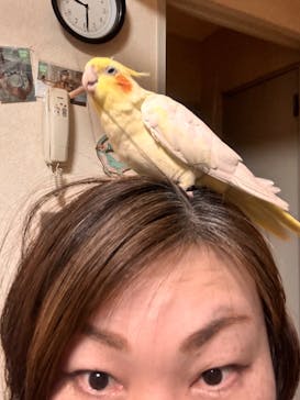 Pet博2025 幕張に投稿された画像（2024/5/7）