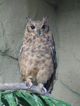 那須どうぶつ王国に投稿された画像（2024/5/7）