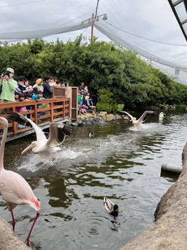神戸どうぶつ王国に投稿された画像（2024/5/7）