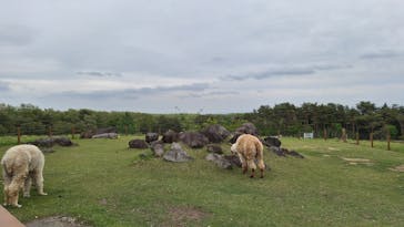那須どうぶつ王国に投稿された画像（2024/5/7）