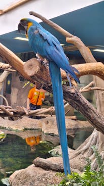 那須どうぶつ王国に投稿された画像（2024/5/7）