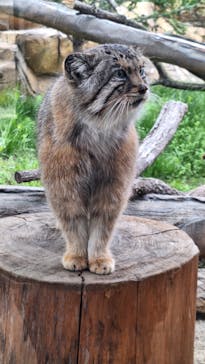 那須どうぶつ王国に投稿された画像（2024/5/7）