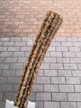 ひらかたパークに投稿された画像（2024/5/7）