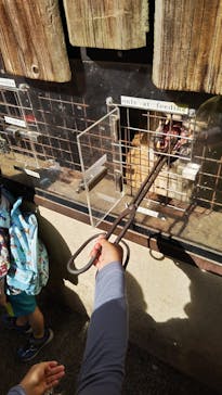 群馬サファリパークに投稿された画像（2024/5/7）