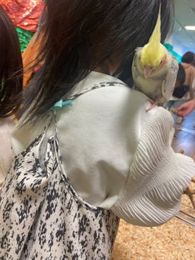 いきもの探検隊湘南に投稿された画像（2024/5/7）