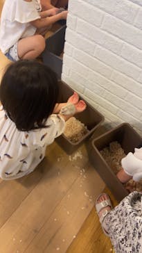 いきもの探検隊湘南に投稿された画像（2024/5/7）