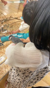 いきもの探検隊湘南に投稿された画像（2024/5/7）