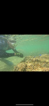 武藤潜水に投稿された画像（2024/5/7）