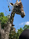 天王寺動物園に投稿された画像（2024/5/7）