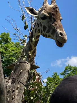 天王寺動物園に投稿された画像（2024/5/7）