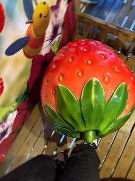 鈴鹿サーキットに投稿された画像（2024/5/7）