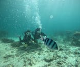 青の洞窟専門店　沖縄ダイビングショップ和に投稿された画像（2024/5/7）