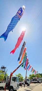 モビリティリゾートもてぎに投稿された画像（2024/5/7）