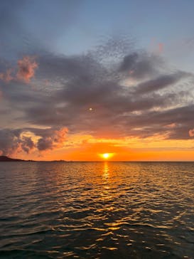 マリンBoo!!に投稿された画像（2024/5/7）